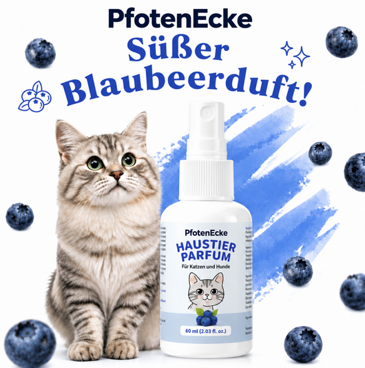 PfotenEcke™  Haushalts Spray