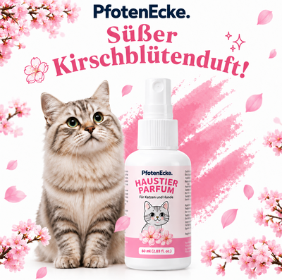 PfotenEcke™  Haushalts Spray