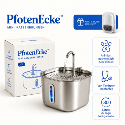 PfotenEcke™ Katzenbrunnen
