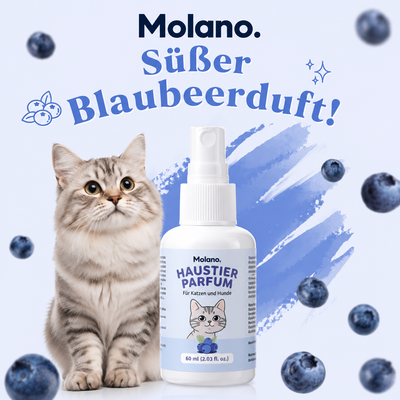 Molano Haushalts Spray