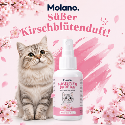 Molano Haushalts Spray