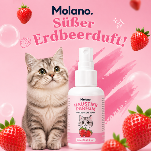 Molano Haushalts Spray
