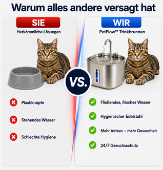PfotenEcke™ Katzenbrunnen
