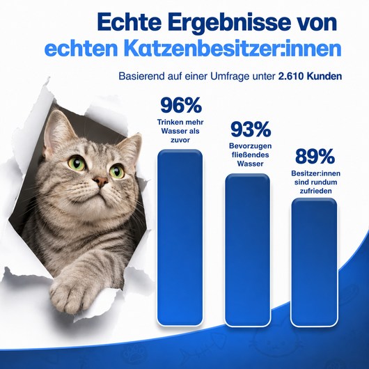 PfotenEcke™ Katzenbrunnen